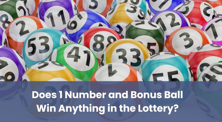 Does 1 Number and Bonus Ball Win Anything in the Lottery?