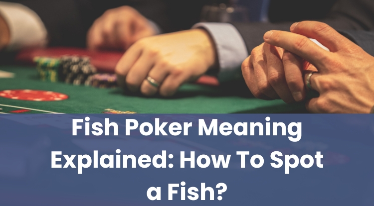 Fish Poker Meaning Explained: How To Spot a Fish?